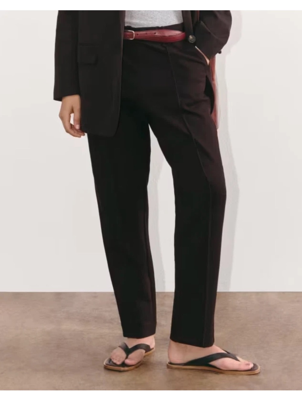Everlane Women's The Dream Pants